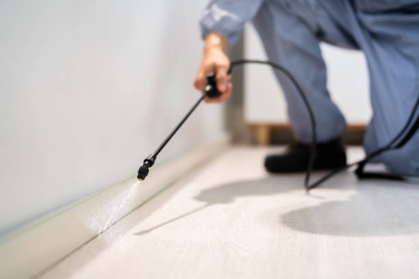Licensed Termite Control service in Lambertville, MI - Nex Pest Control