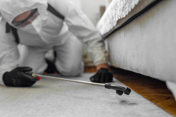 Professional Termite Control technician working in Lambertville, MI