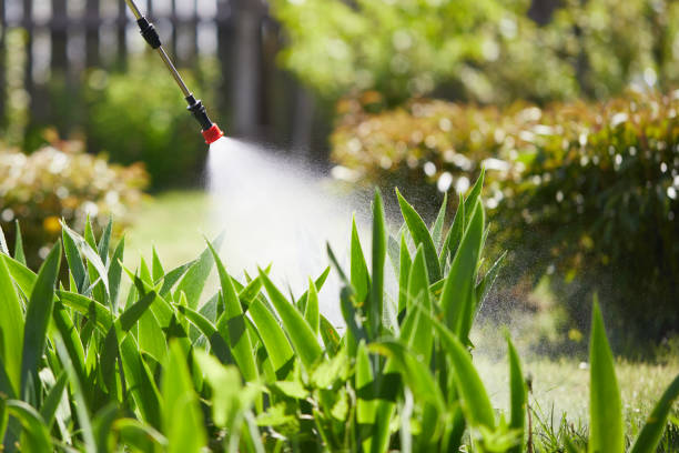 24/7 Emergency Termite Control experts in Lambertville, MI
