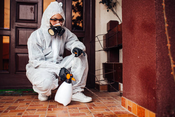 Reliable Termite Control contractor in Lambertville, MI by Nex Pest Control