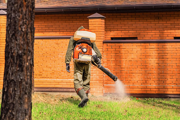Top rated local Termite Control specialists in Lambertville, MI